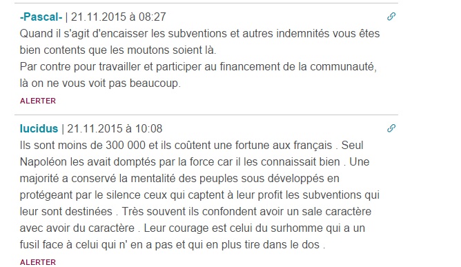 Marseillaise à Furiani : Déferlement de haine sur internet envers "les Corses"