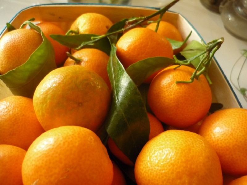 Les "Clémentines de l'espoir" avec le Rotary Calvi-Balagne