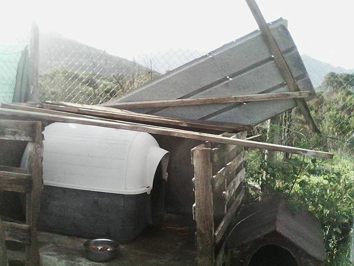 Le refuge SPA de Calvi victime de la tempête