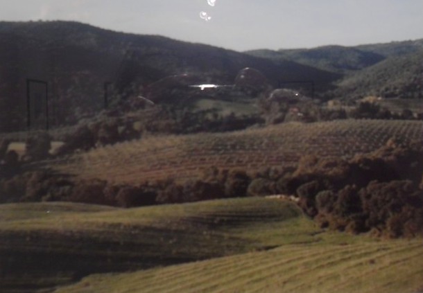 "Région de Sartène, près de Serragia/Rughjone di Sartè, Vicinu à Serraja", Corse 2010 - Maddalena Rodriguez-Antioniotti