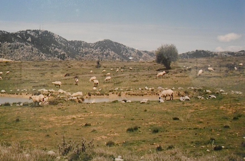 "Plateau d'Omalos, département de la Canée", Crète 2014 - Maddalena Rodriguez-Antoniotti