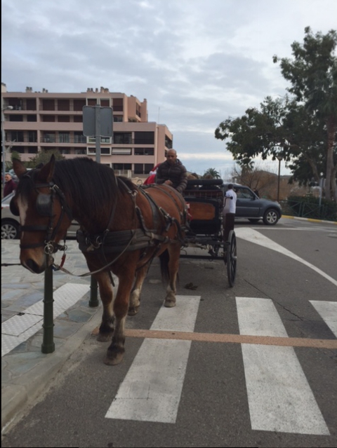 Bastia : Le premier marché de Noël de Toga se poursuit ce dimanche 