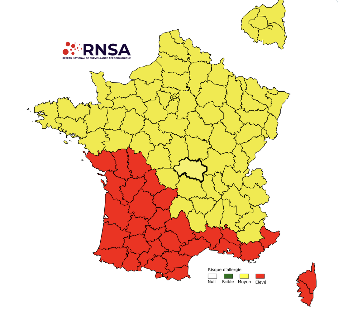 Dimanche Rouge Allergies aux pollens : la Corse en alerte rouge dès ce dimanche