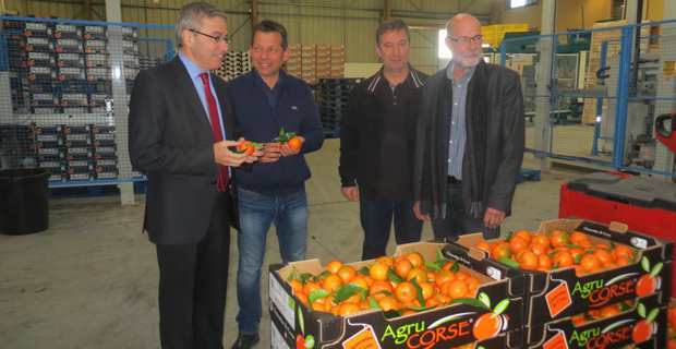 Alain Thirion, préfet de Haute-Corse, visitant la structure de conditionnement AgruCorse à Folelli, en compagnie de son directeur Mathieu Donati, des représentants de la filière et de Jean-Paul Mancel, président de l’APRODEC.