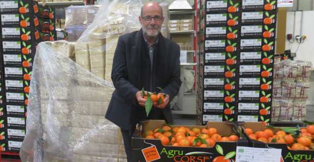 Jean-Paul Mancel, président de l’APRODEC (Association de promotion et de défense de la clémentine de Corse).