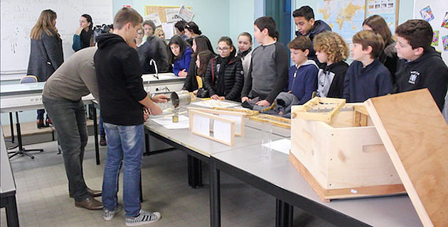 Ajaccio : Au collège des Padule, l’"Happy’Culture" vient accompagner les élèves dans l'apprentissage