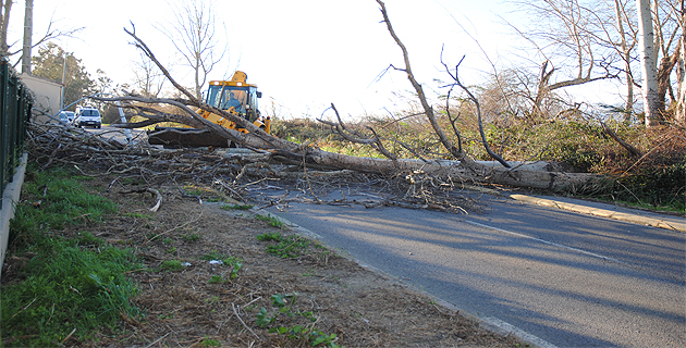 Tempête : Des vents à 160 km/h dans le Cap Corse