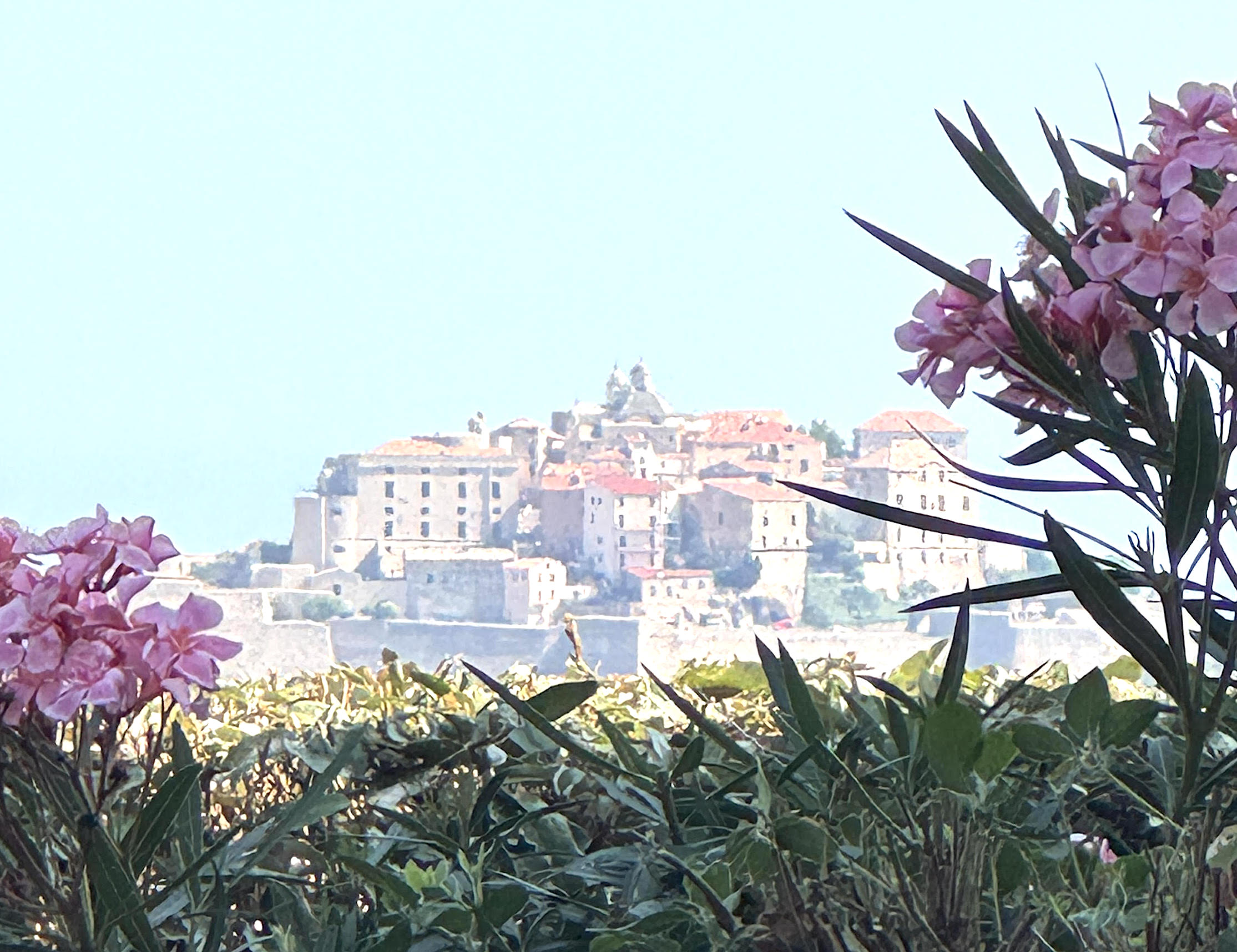 A màghjina : Calvi si perde ind’è a bruma d’estate 