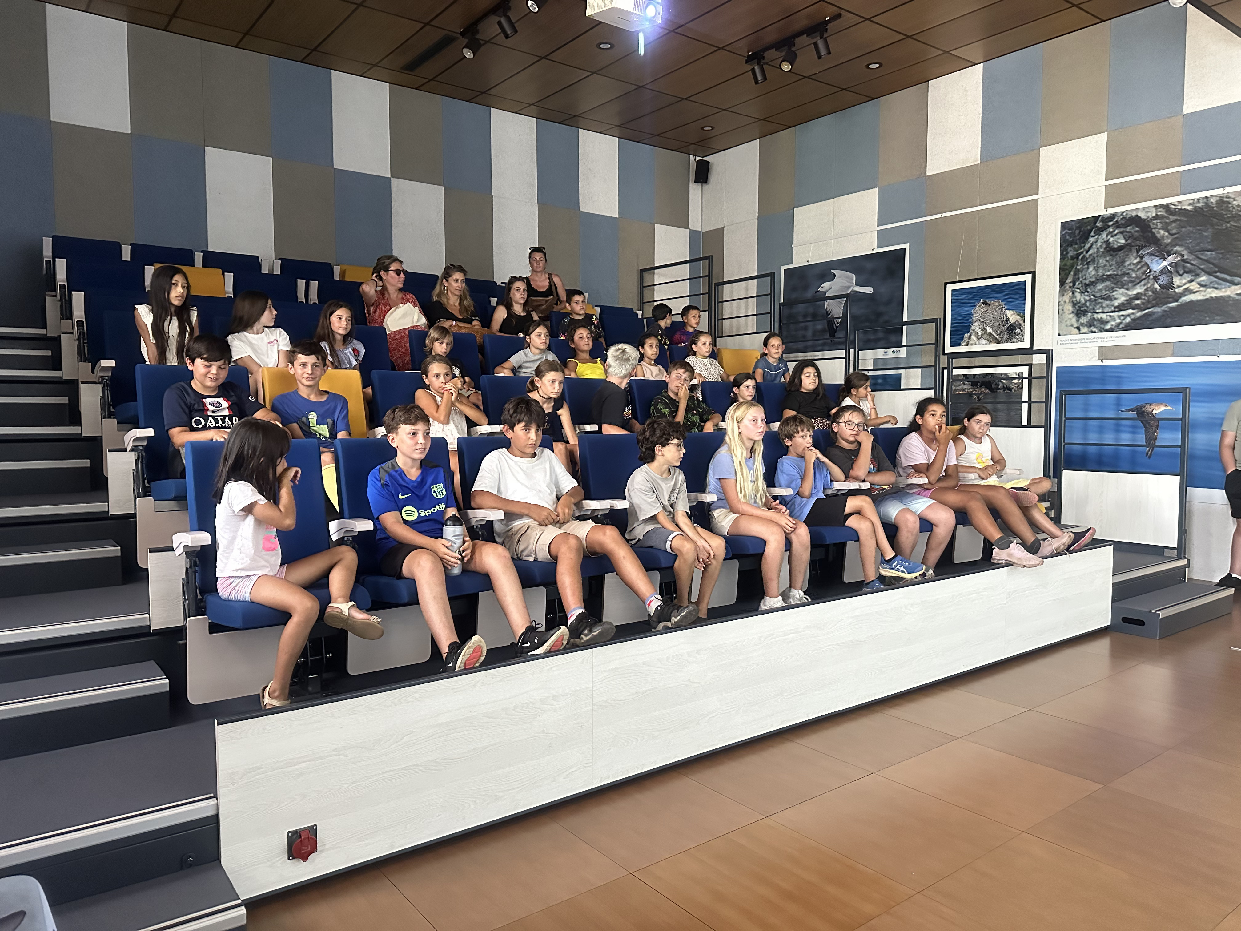 L’ange de mer, un requin menacé dont la Corse est le dernier refuge