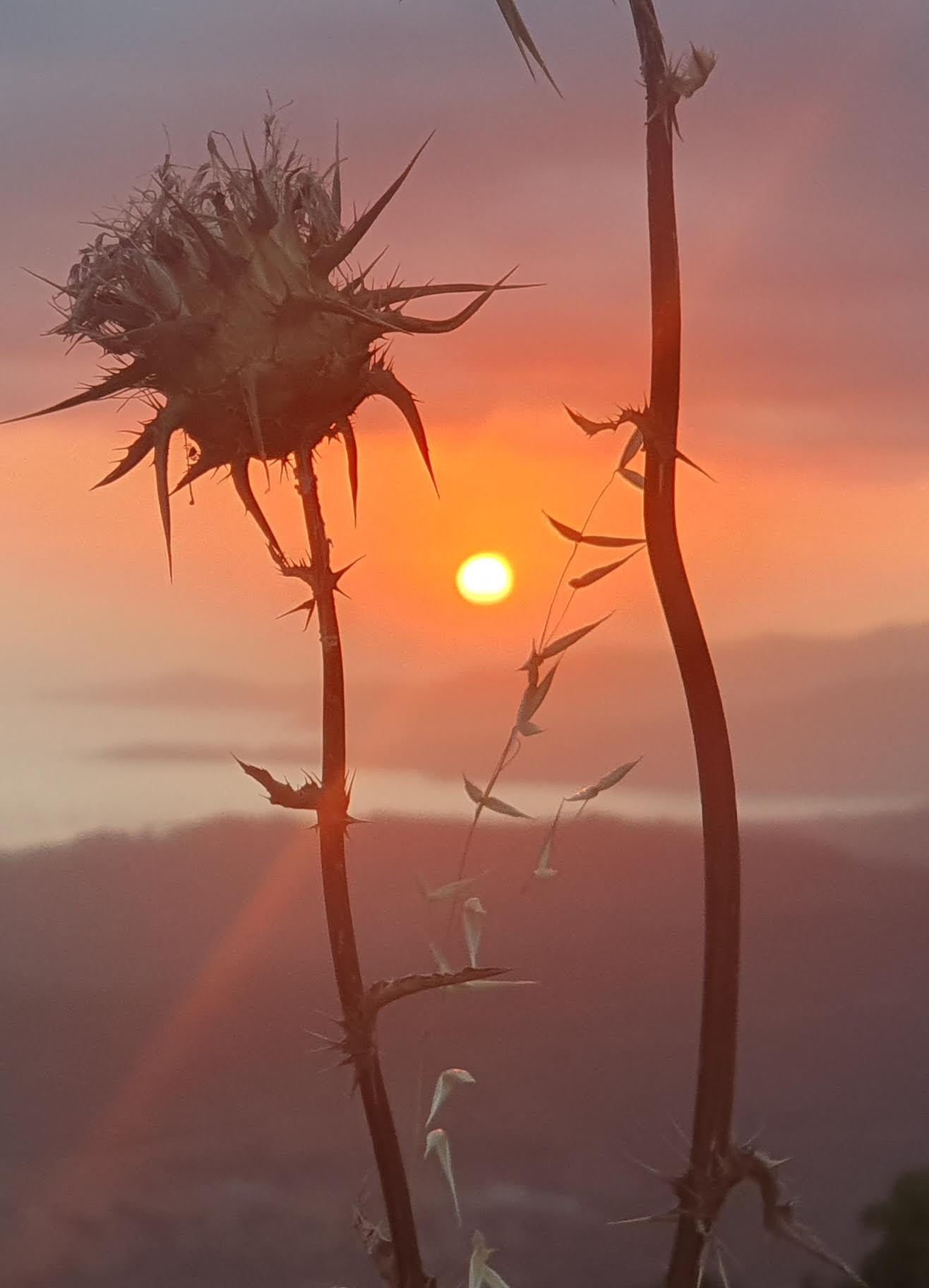 A màghjina :  U sole, Saone : Rigali di a natura...