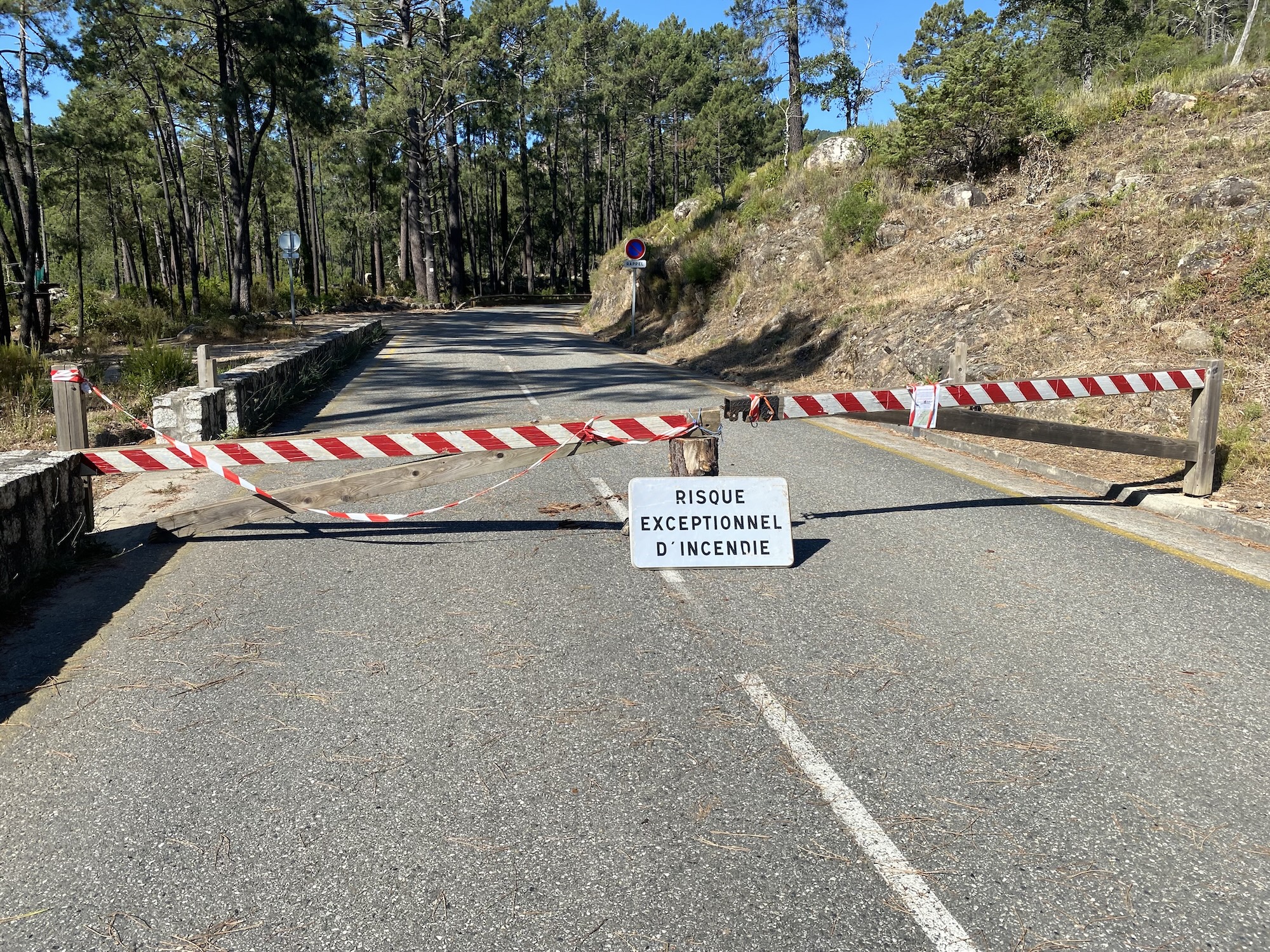 (Photo : Culletivu per a furesta corsa)