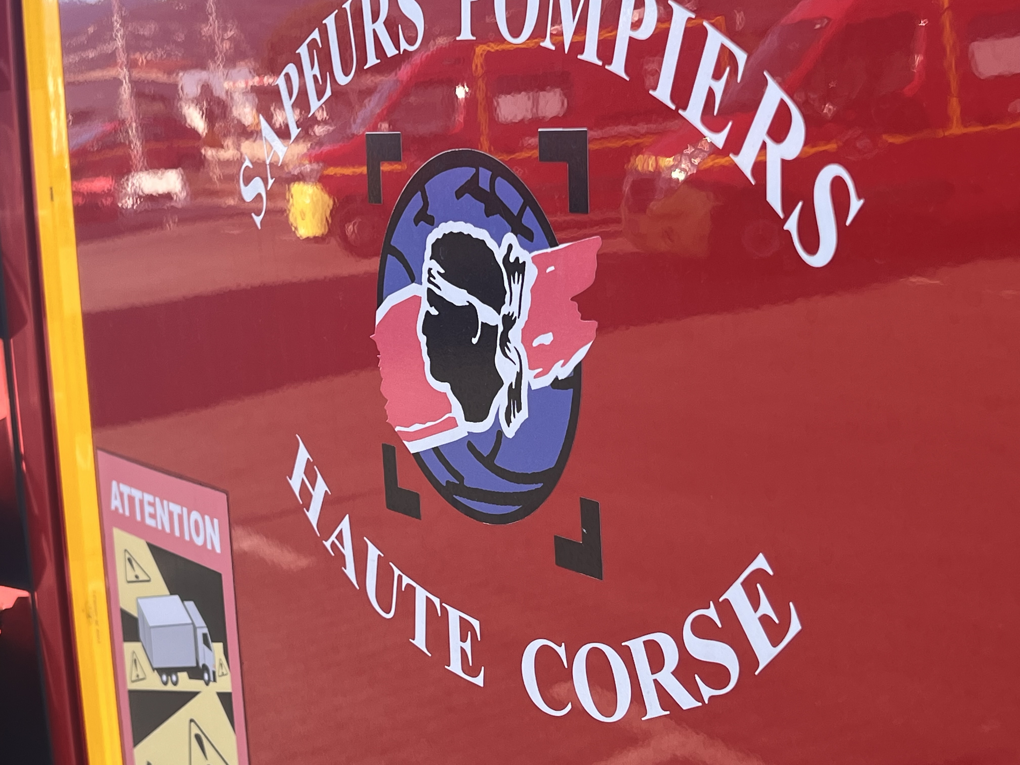 Aleria : Un incendie détruit quatre hectares de forêt d'eucalyptus