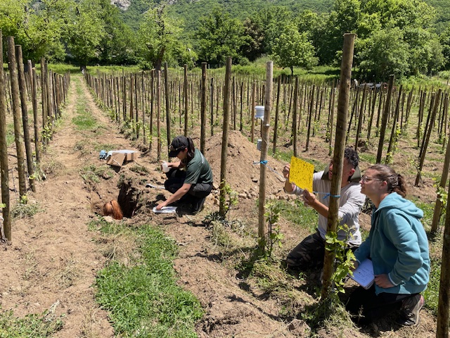 Crédit photo CRVI de Corse