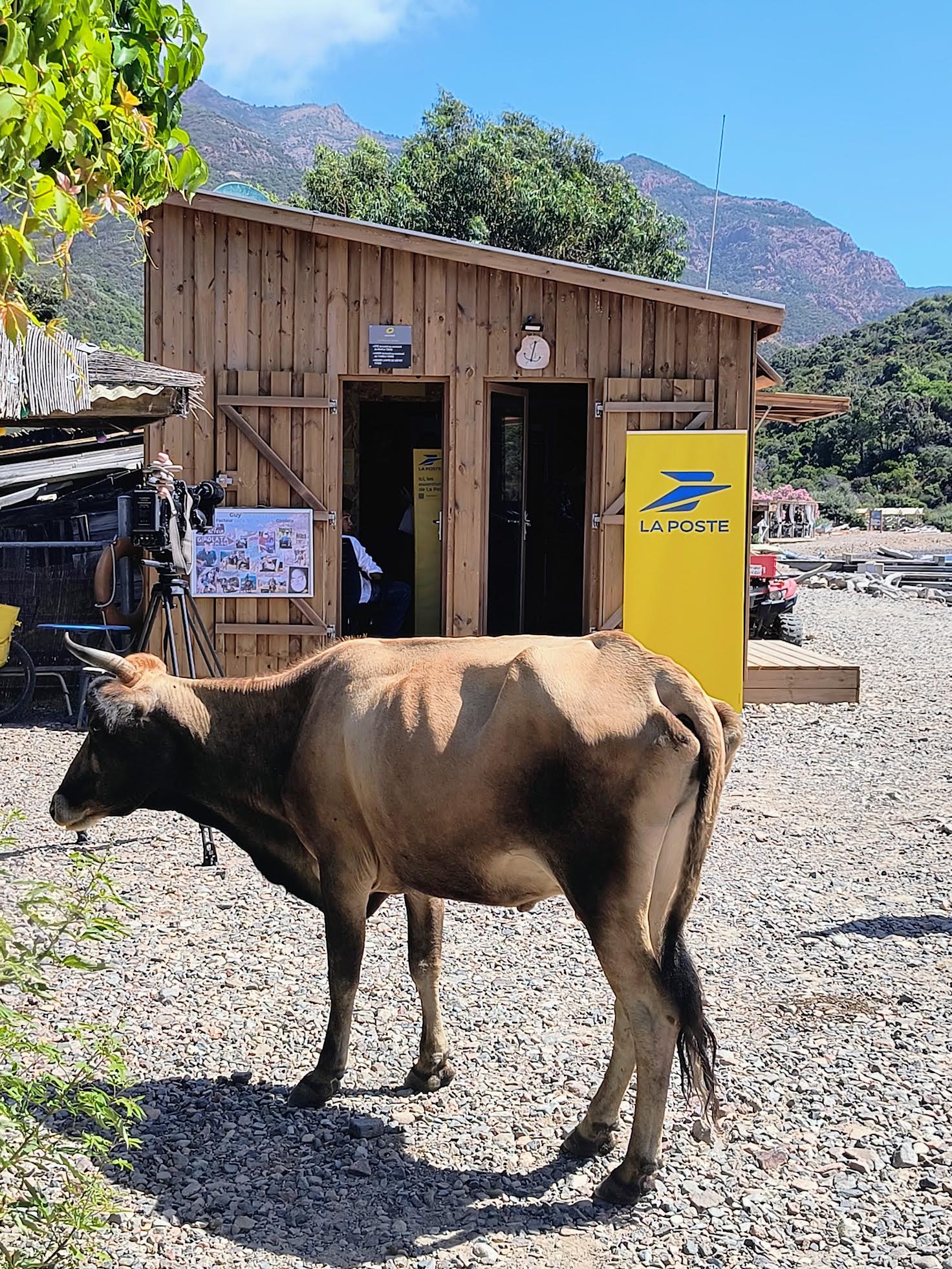 Crédit photo La Poste