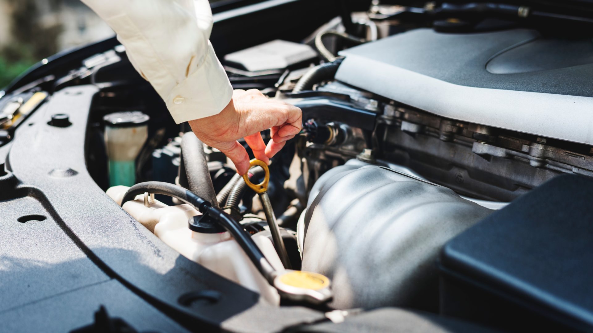 (https://logos-pa.com)