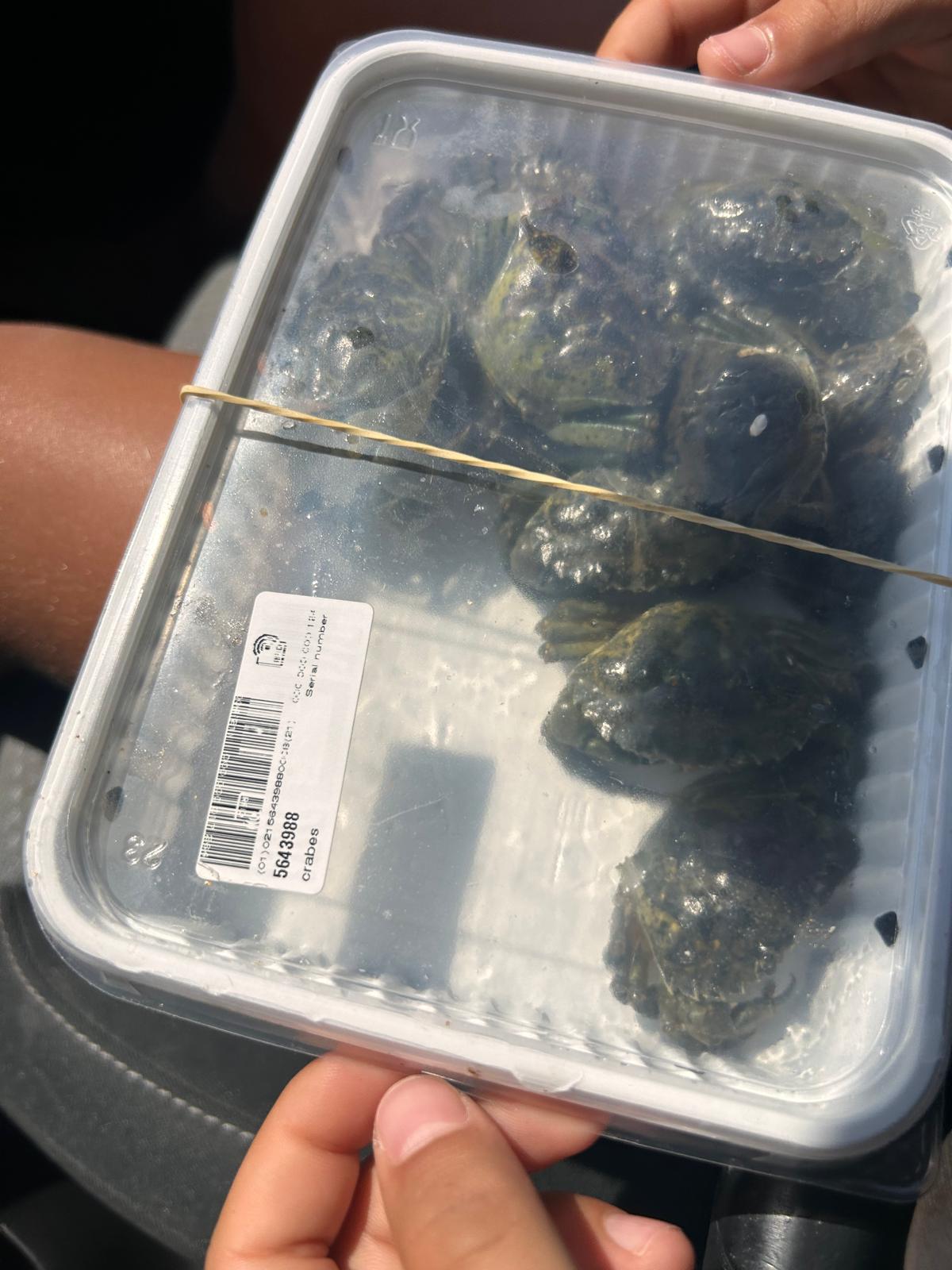 Photo : PAZ, barquette de crabes achetée au Decathlon de Sarrola Carcopino en août 2025.