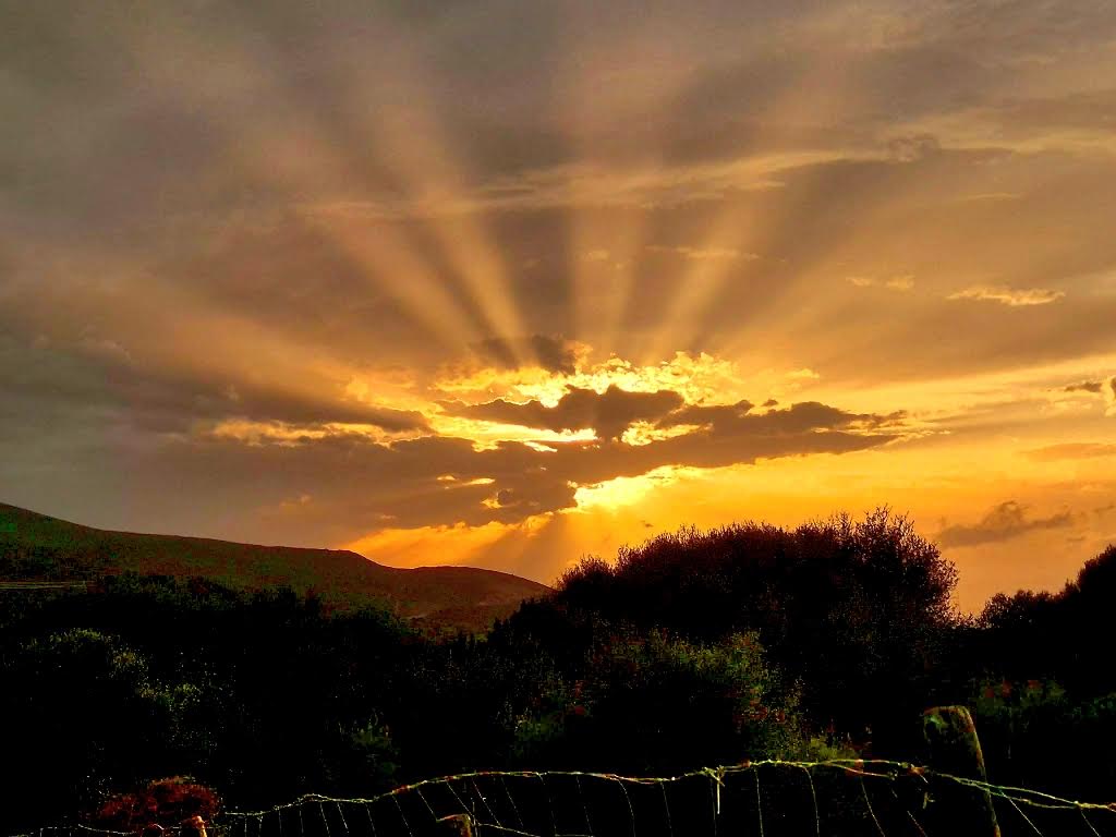 (Françoise Geronimi)