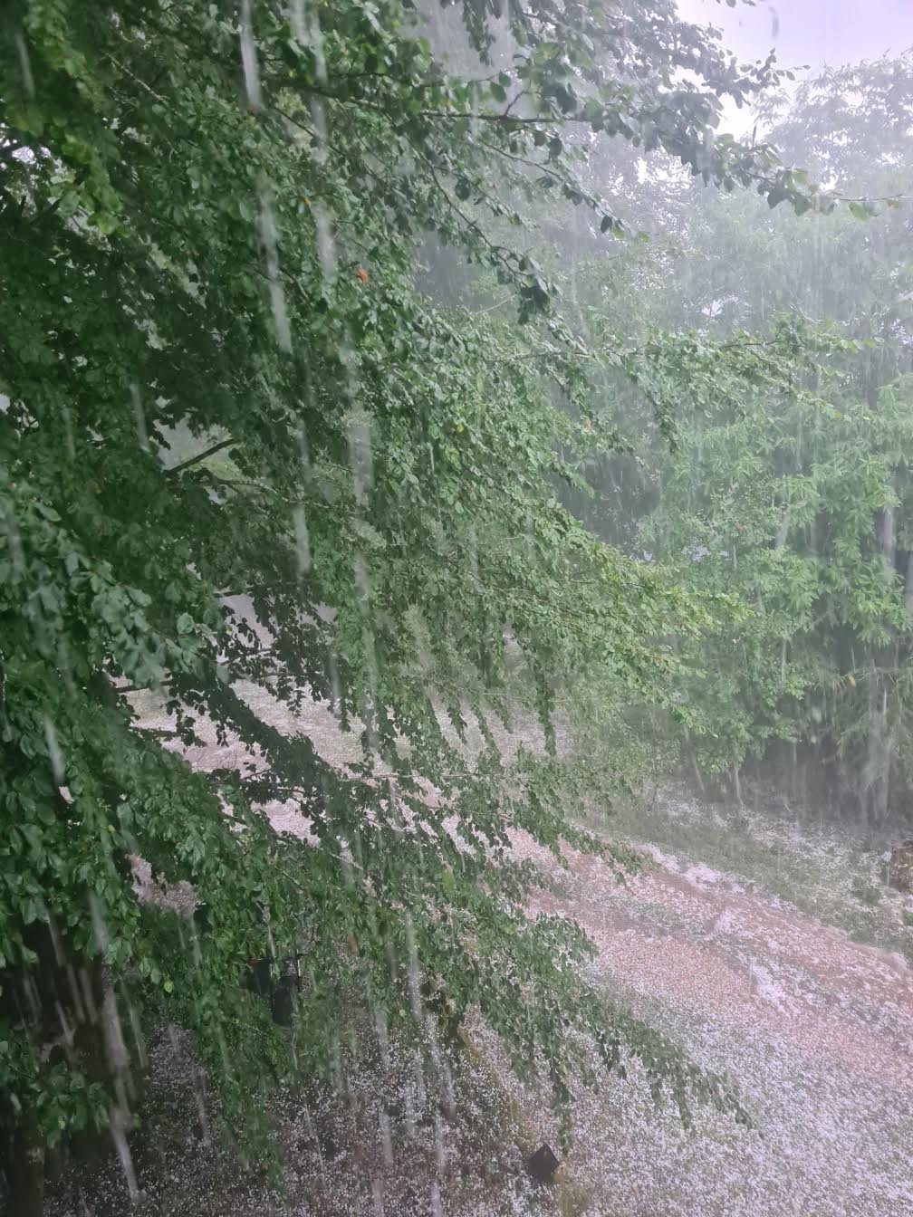 Orage et grêle à Vizzavona (Claude Raffalli)