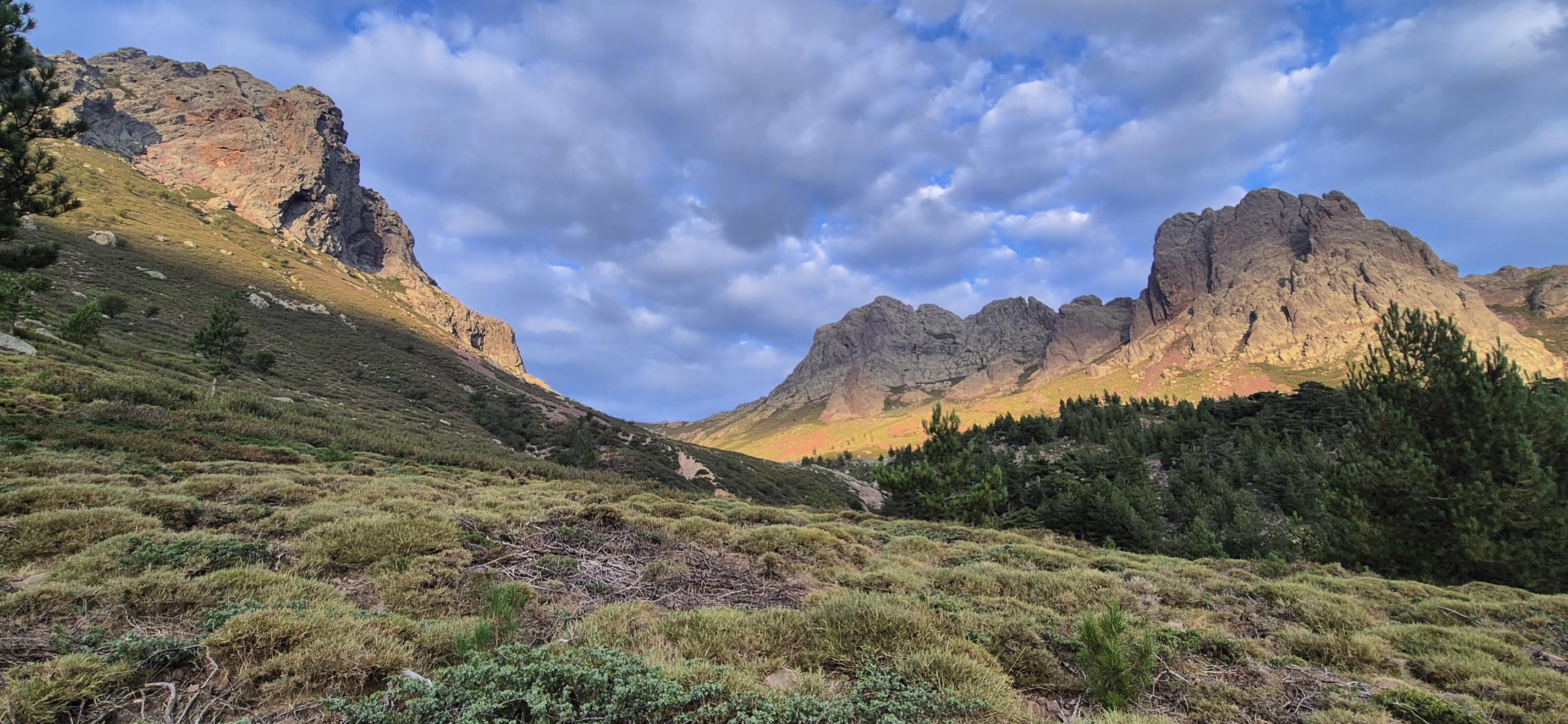 (Françoise Geronimi)