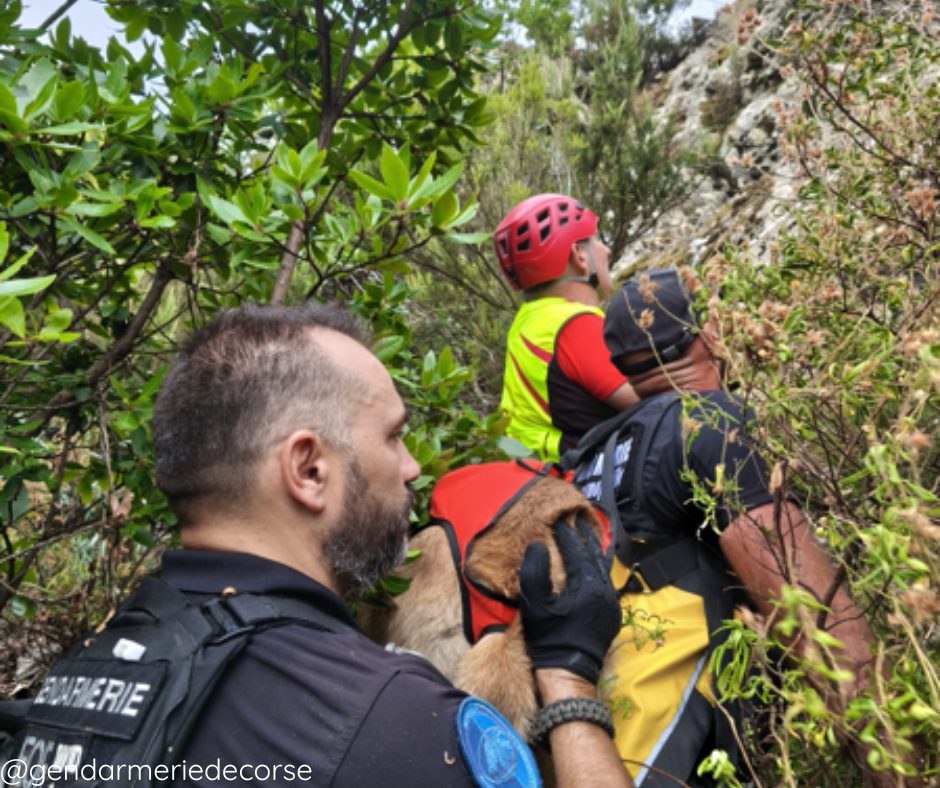 Poggio-d’Oletta : une personne, égarée, retrouvée saine et sauve après des recherches