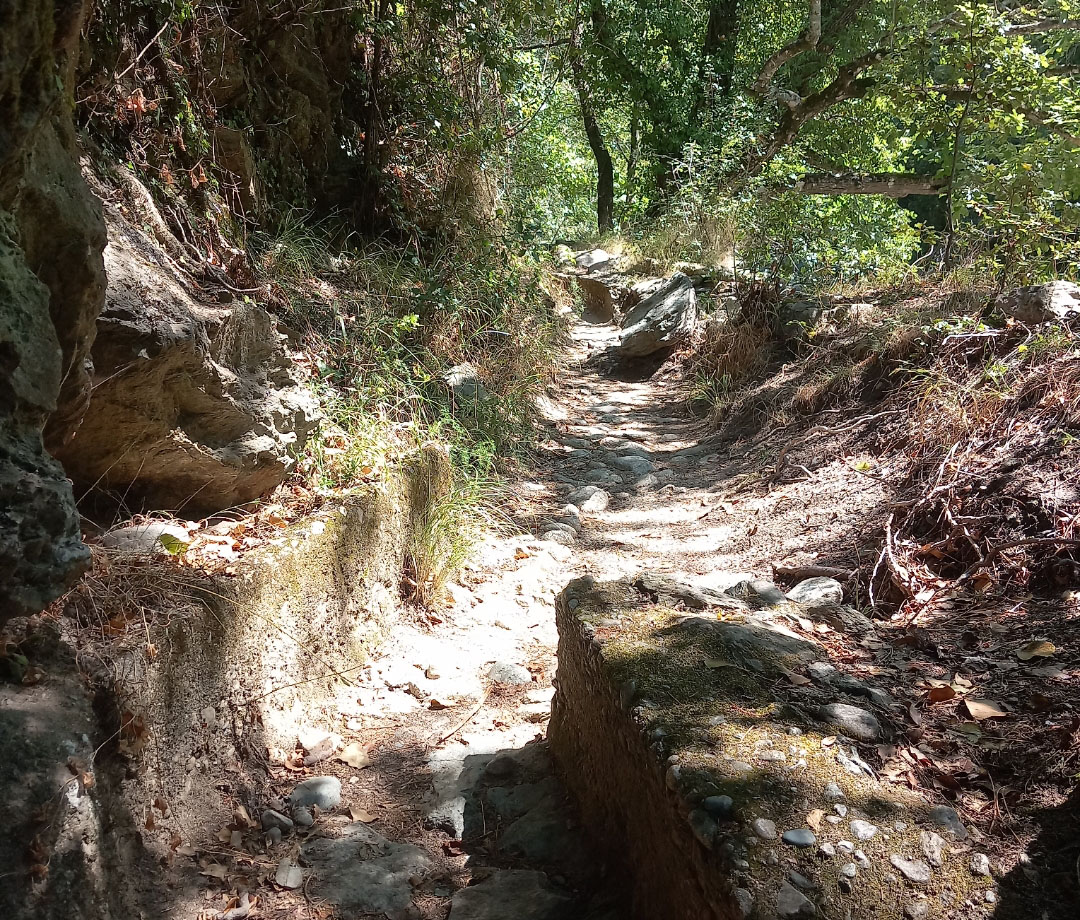 Corte - Quand "u Lavu di a Matra" permettait d'irriguer les jardins