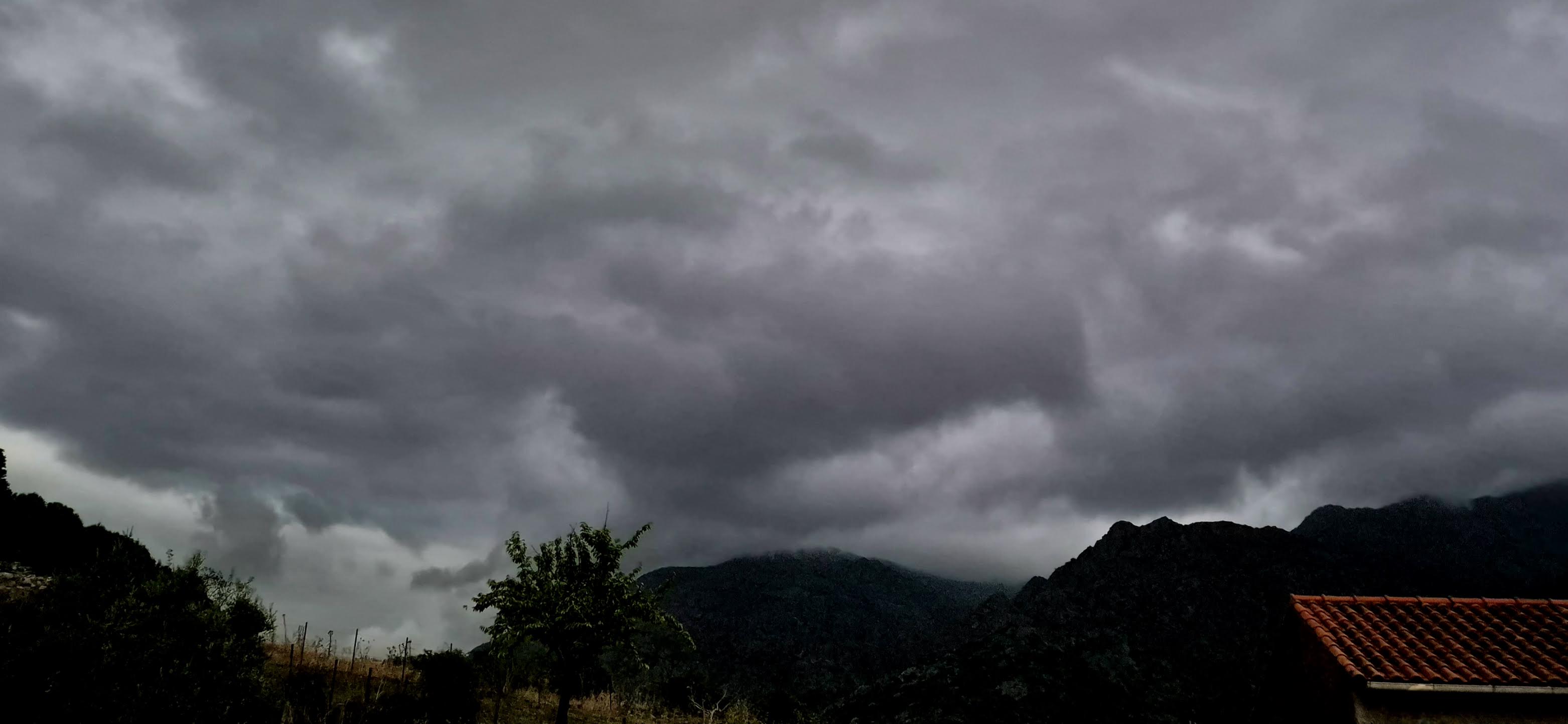 (Françoise Geronimi)