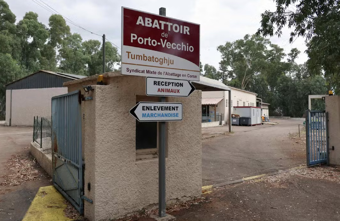 Abattoir de Porto-Vecchio : le SMAC promet un accompagnement des éleveurs