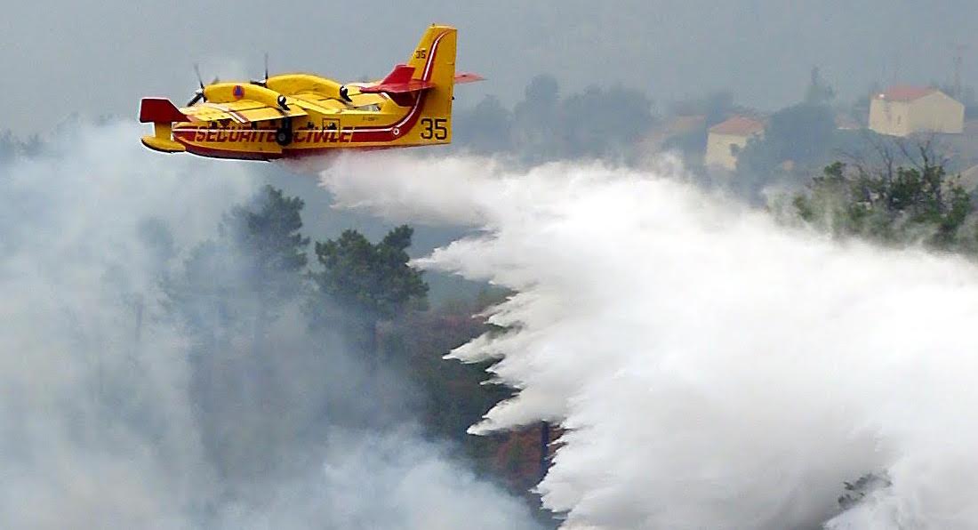 Oletta : l'incendie a parcouru 50 hectares de végétation