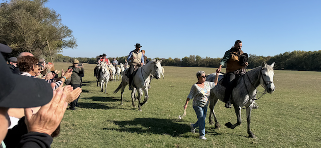 Bastia - Des fruits de mer de Thau à la manade du Cailar, le comité des fêtes du patrimoine savoure son voyage