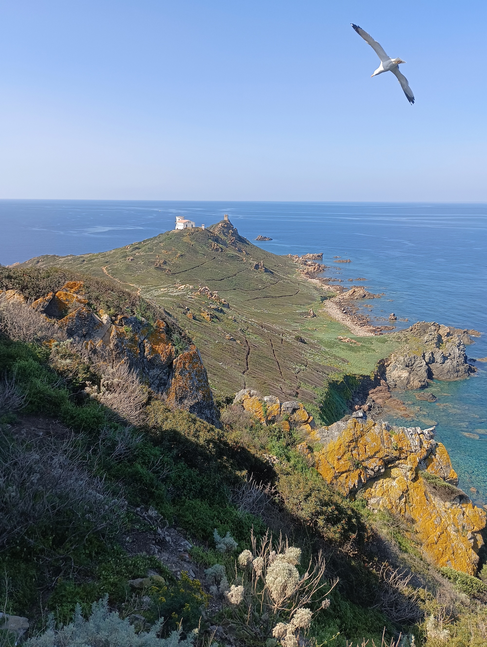 (Crédit photo : Initiative PIM)