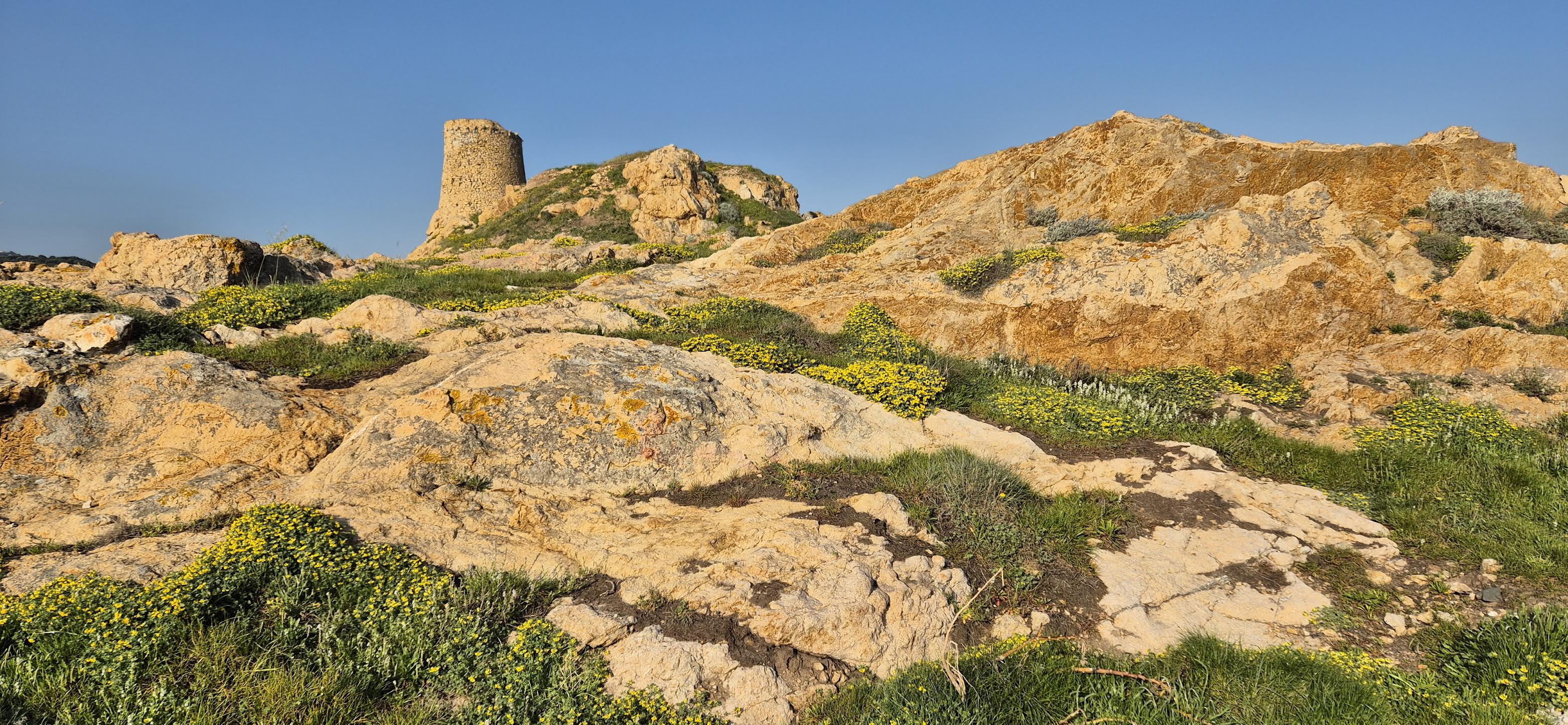 A màghjina :  A Torra di a Petra
