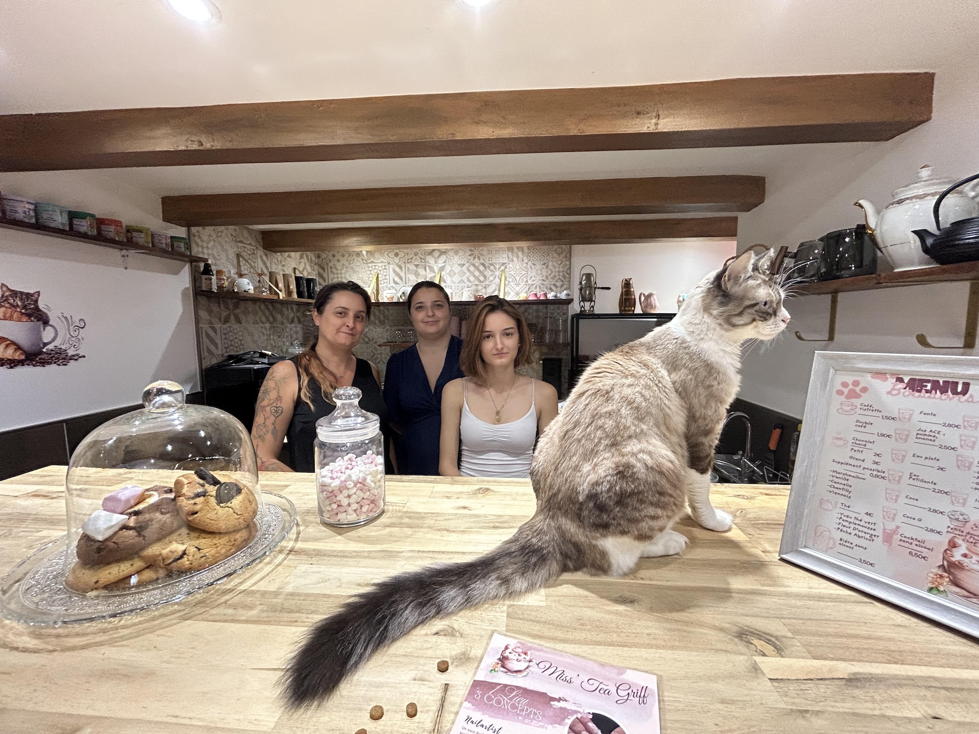 Nadège et ses deux filles ont ouvert le premier bar à chats en Corse. Le lieu met également à l'honneur l'artisanat et la fille cadette, nailartist, prend soin de vos mains.