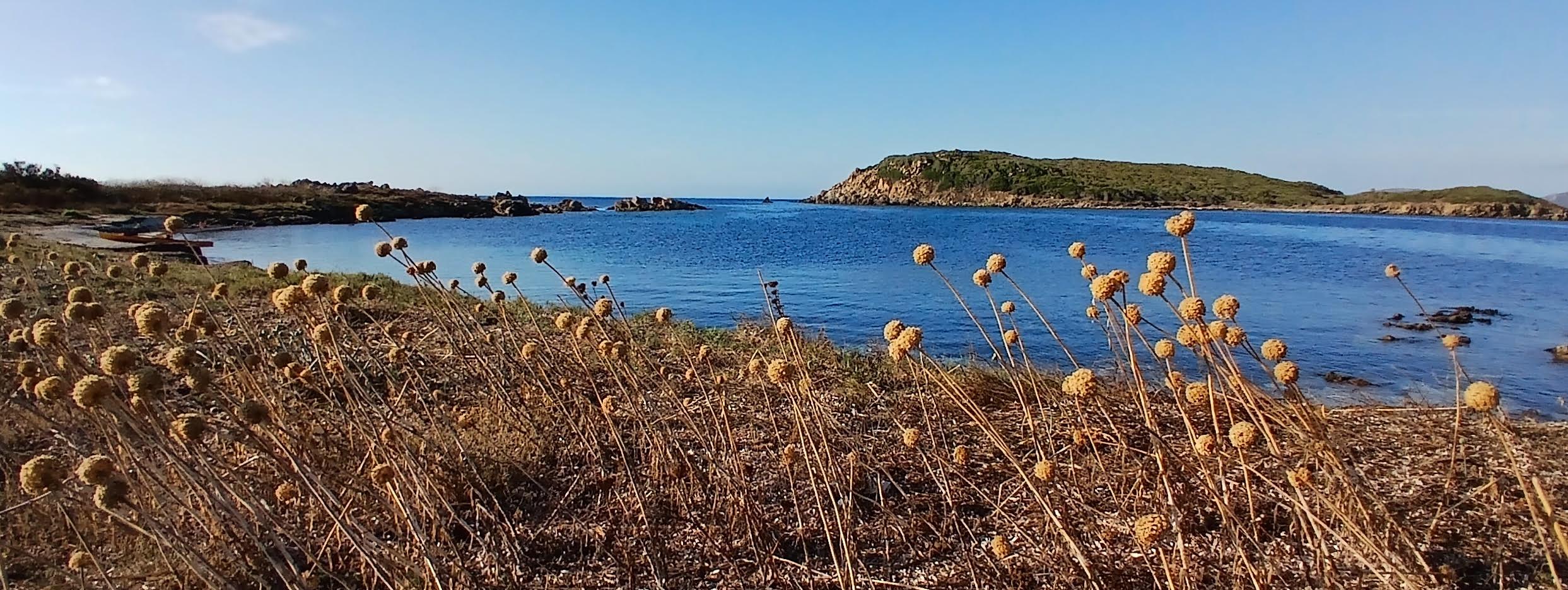 A màghjina :  Vogà versu l’Isula Piana