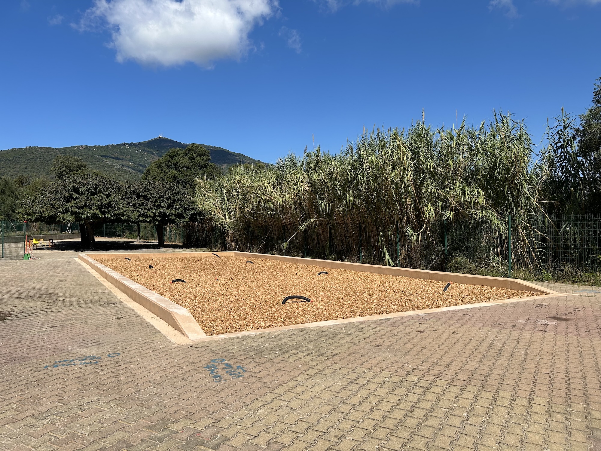 Des îlots de fraicheur ont été installés par la ville dans certaines écoles, comme ici aux Jardins de l'Empereur