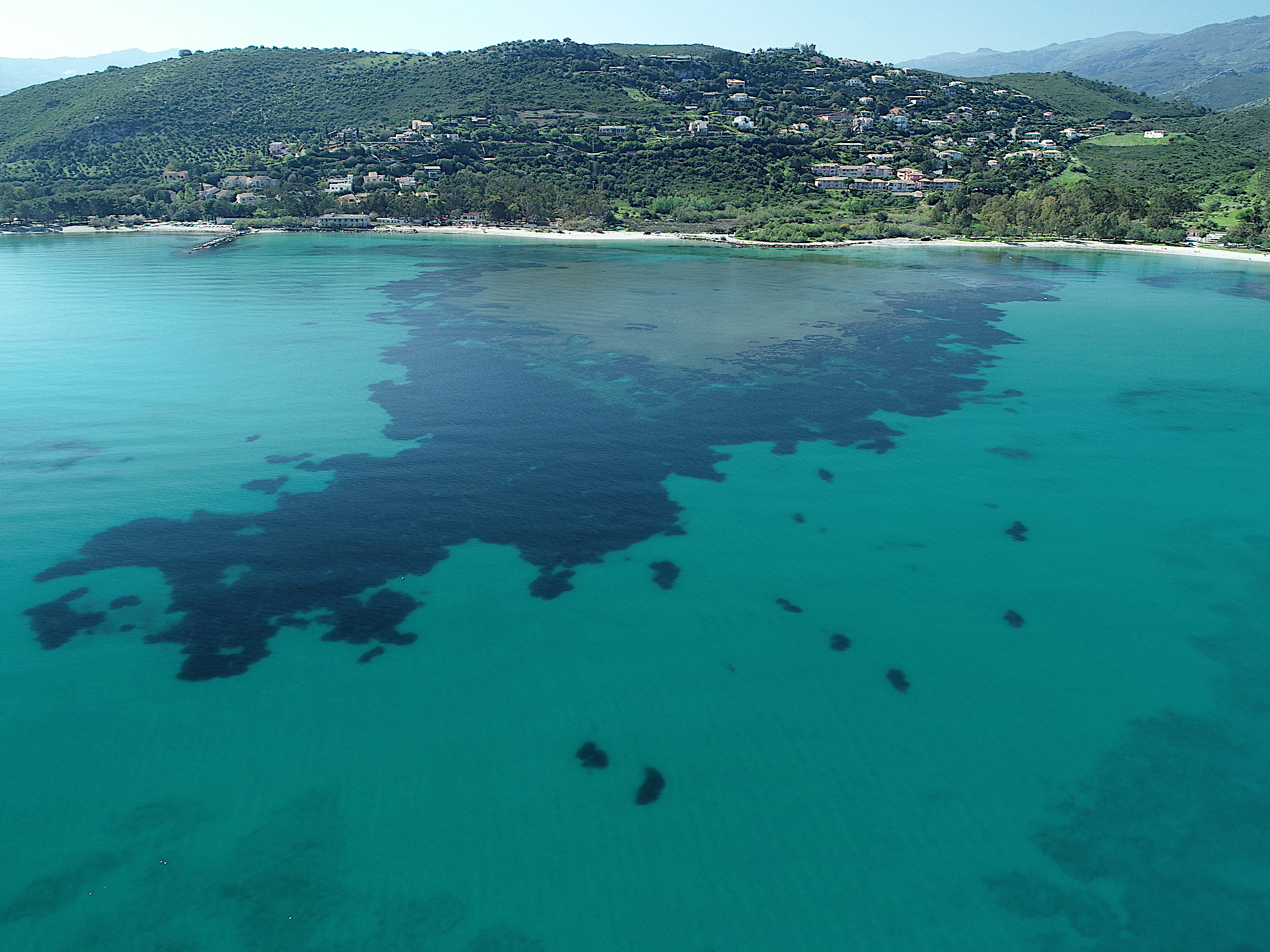 Formation récifale SanFiurenzu_LaRoya_(c) GISPosidonie