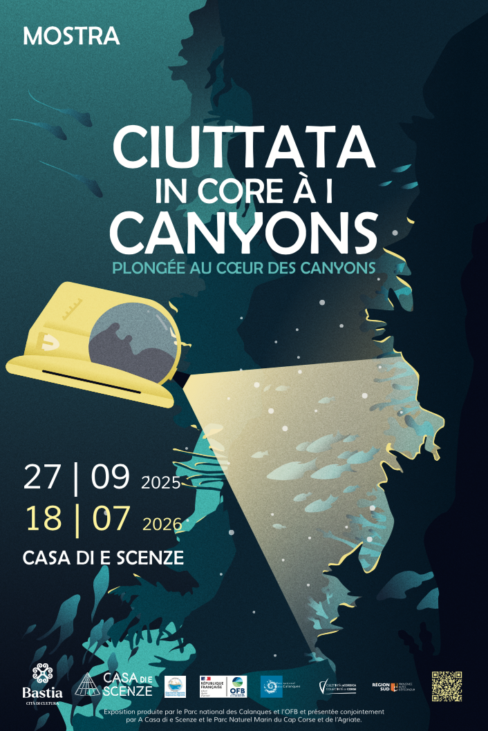 À Bastia, une plongée immersive dans les secrets des canyons sous-marins