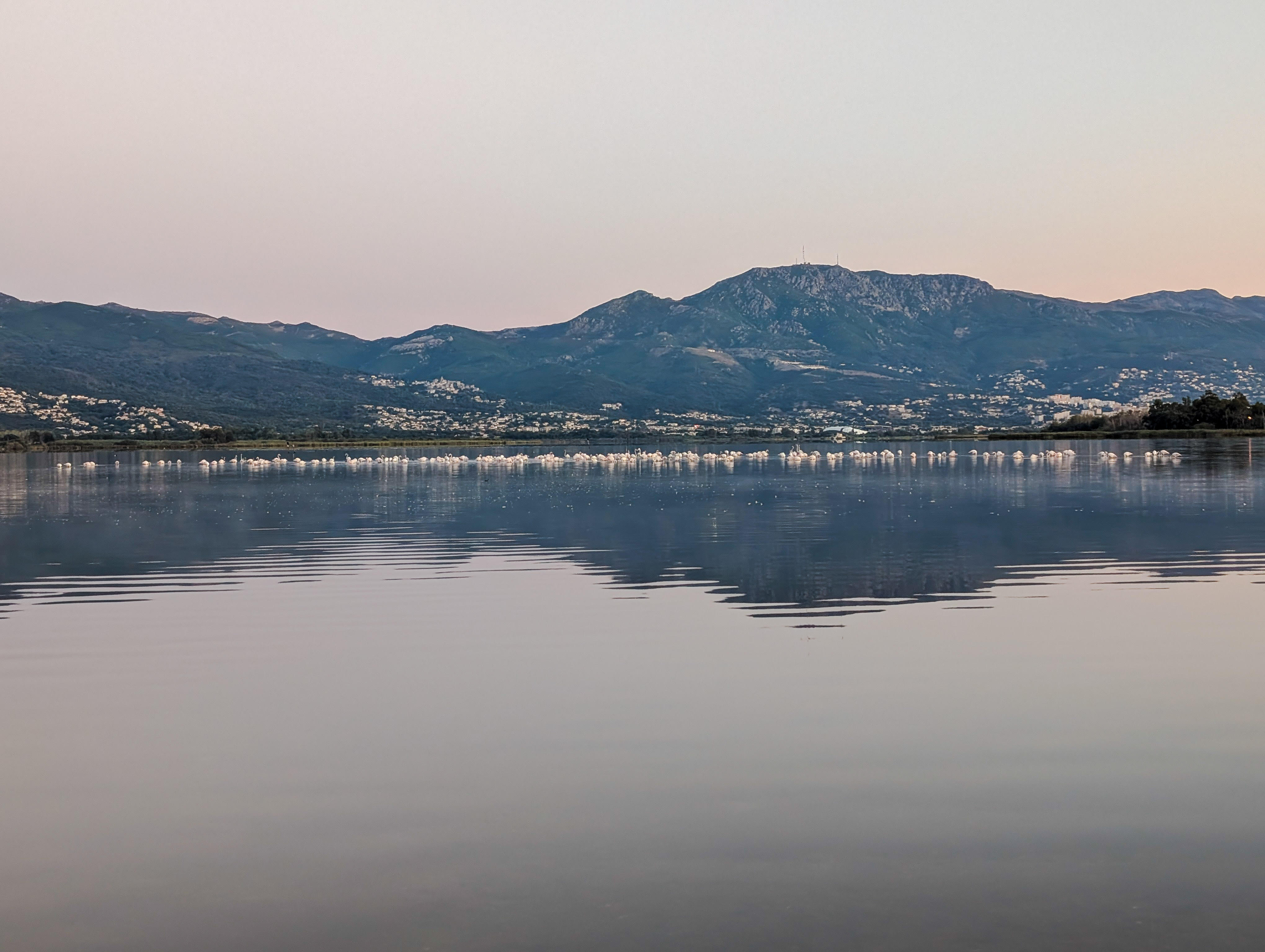 A màghjina - I flamanti di Chjurlinu