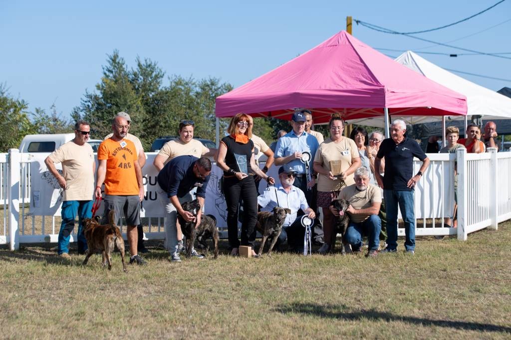 La 8e Nationale d'élevage du Cursinu se déroulera ce week-end à Appietto (photo club du cursinu)