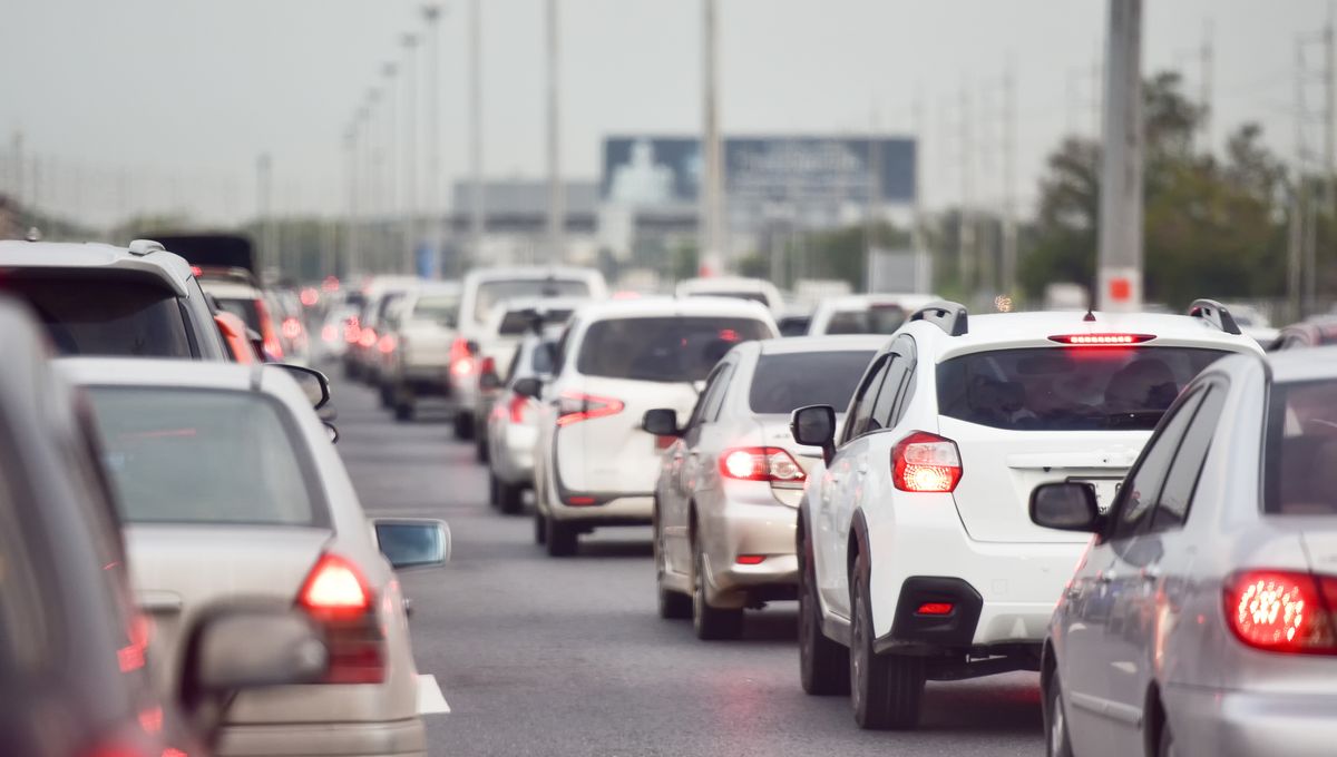 En Corse, les concessions font face à une forte demande même si au final peu de dossiers pourront être validés