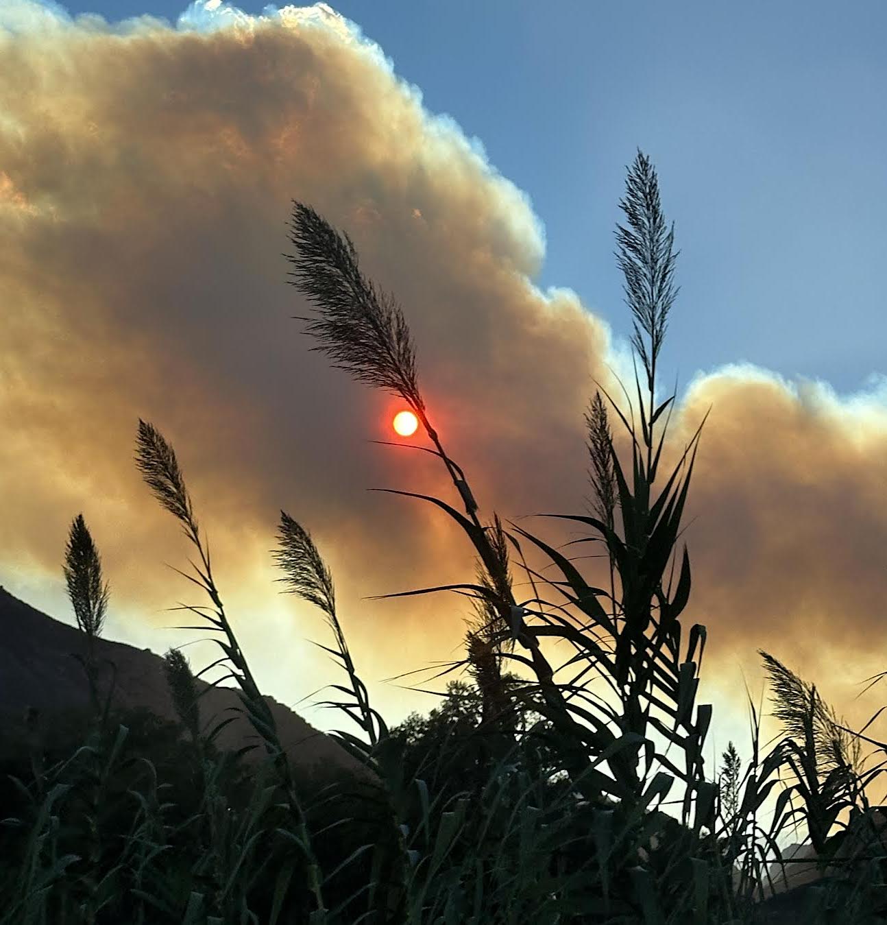 La photo du jour - Soleil rouge sur le Nebbiu