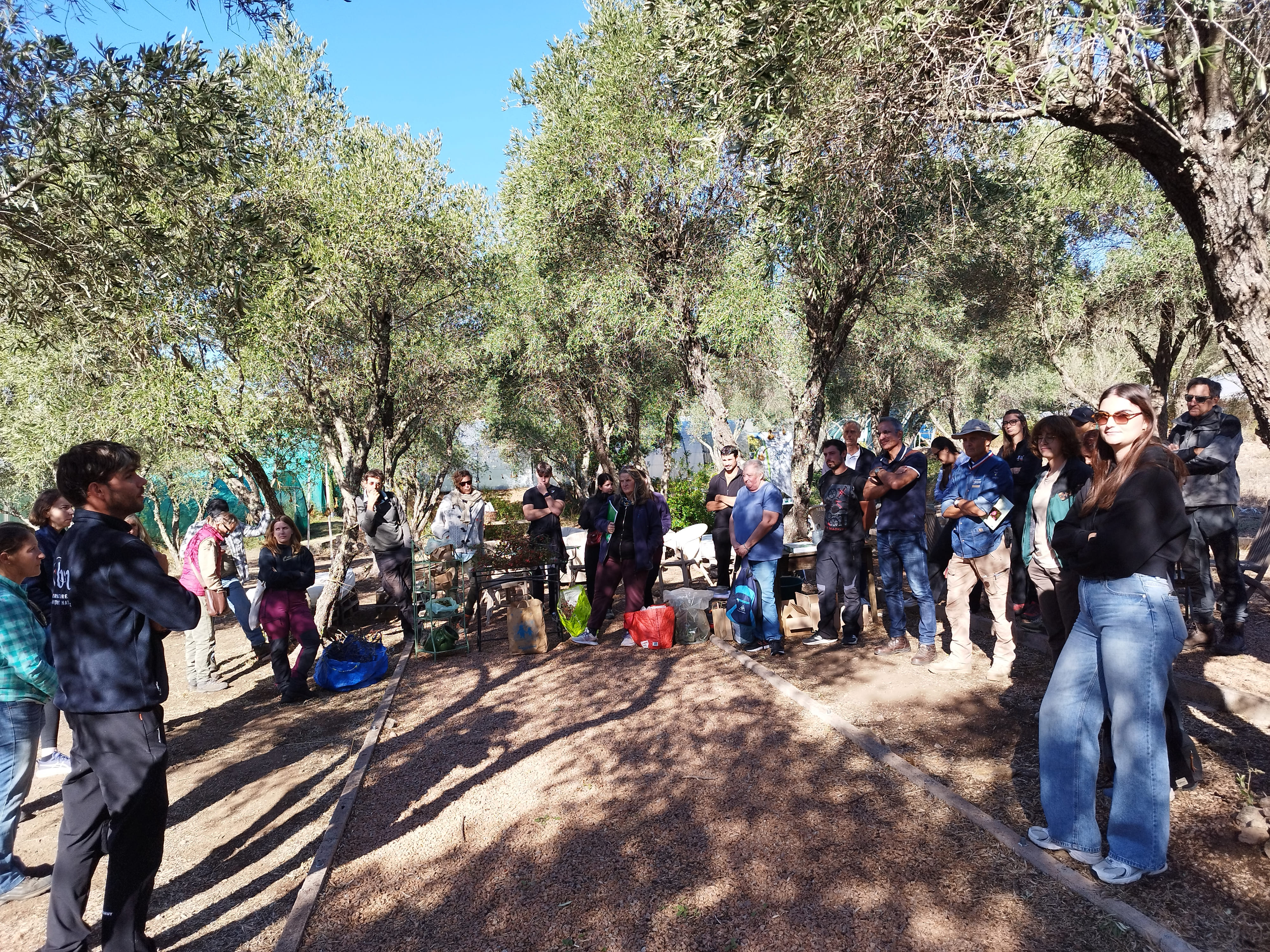 Le label Corsica Grana a été créé en 2016. Il convient aujourd'hui de lui insuffler une nouvelle dynamique.