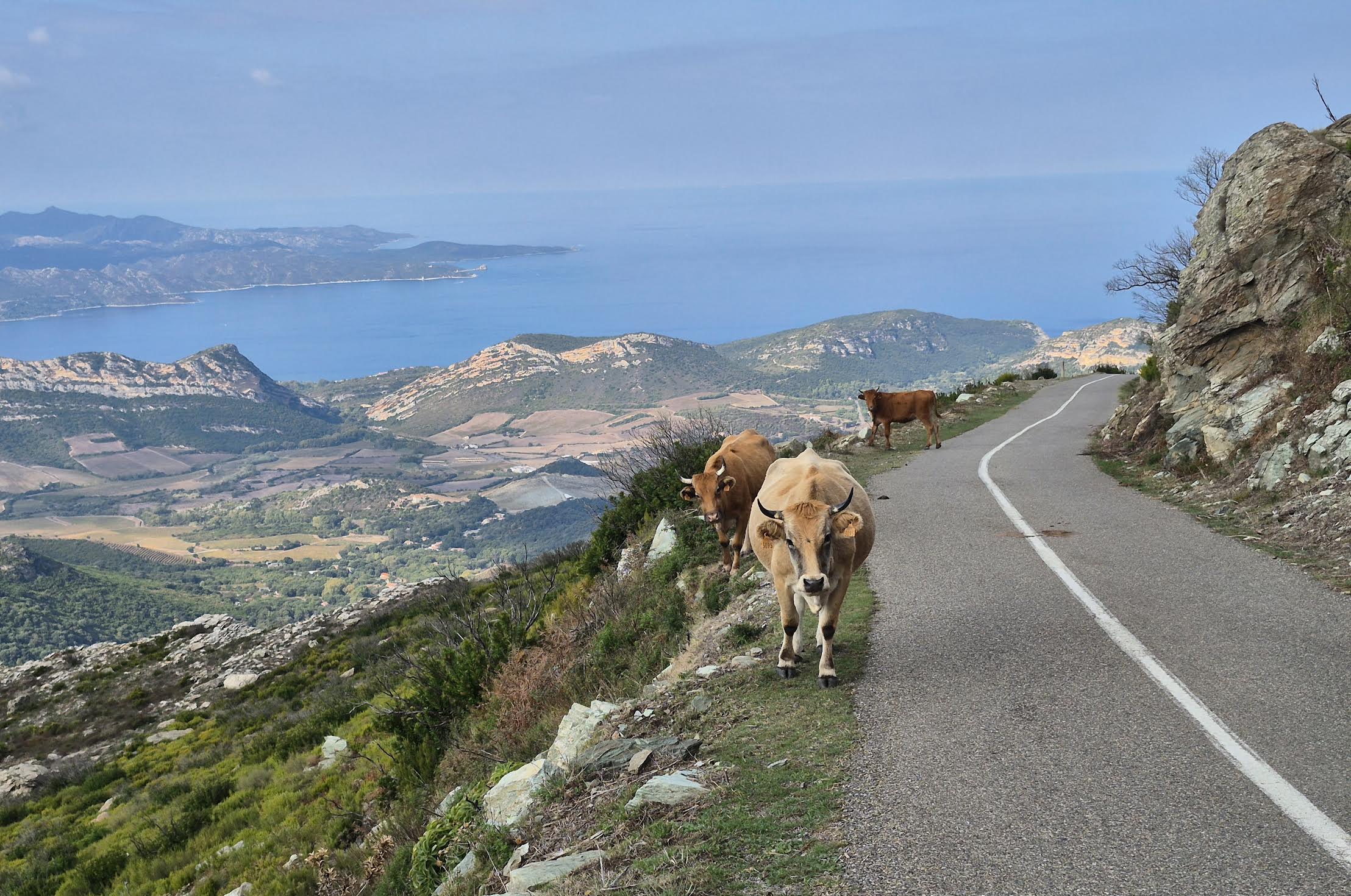 A màghjina - Regine di a strada di u Pignu