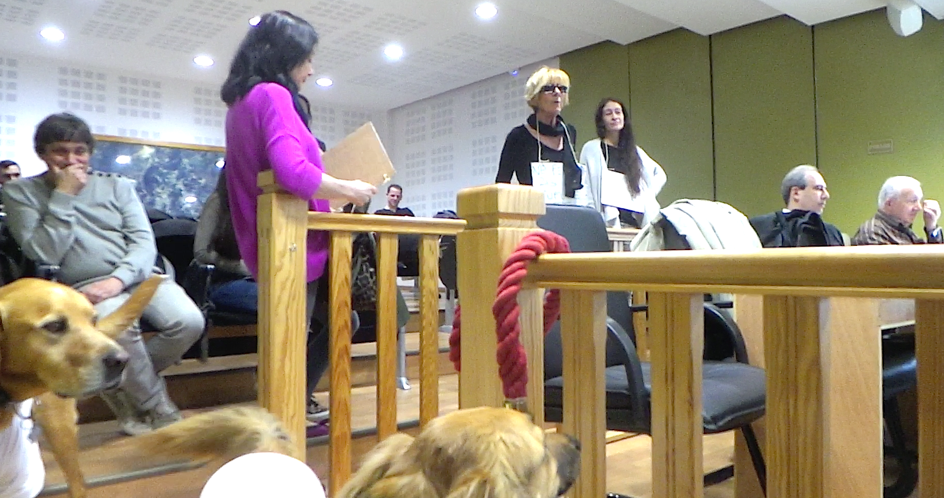 Bastia : Le coup de colère des amis des animaux à la CAB