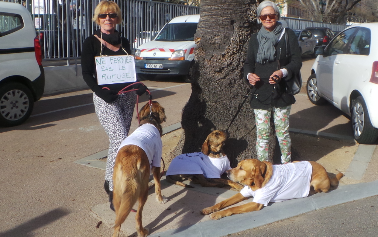 Bastia : Le coup de colère des amis des animaux à la CAB