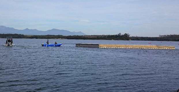Etang d’Urbinu : Le plus grand radeau d’Europe pour la nidification des oiseaux marins protégés