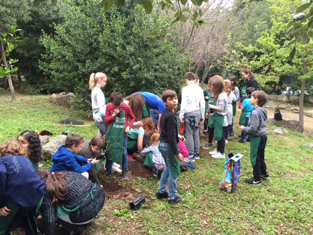 « Plus d’arbres, plus de  vie » : les enfants de l’école Calloni de Bastia plantent 37 arbres 