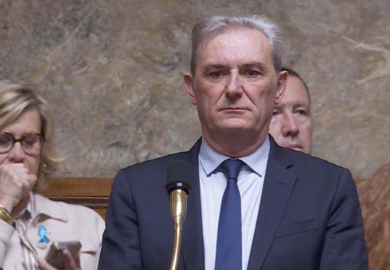 (Photo : Capture d'écran streaming Assemblée nationale)