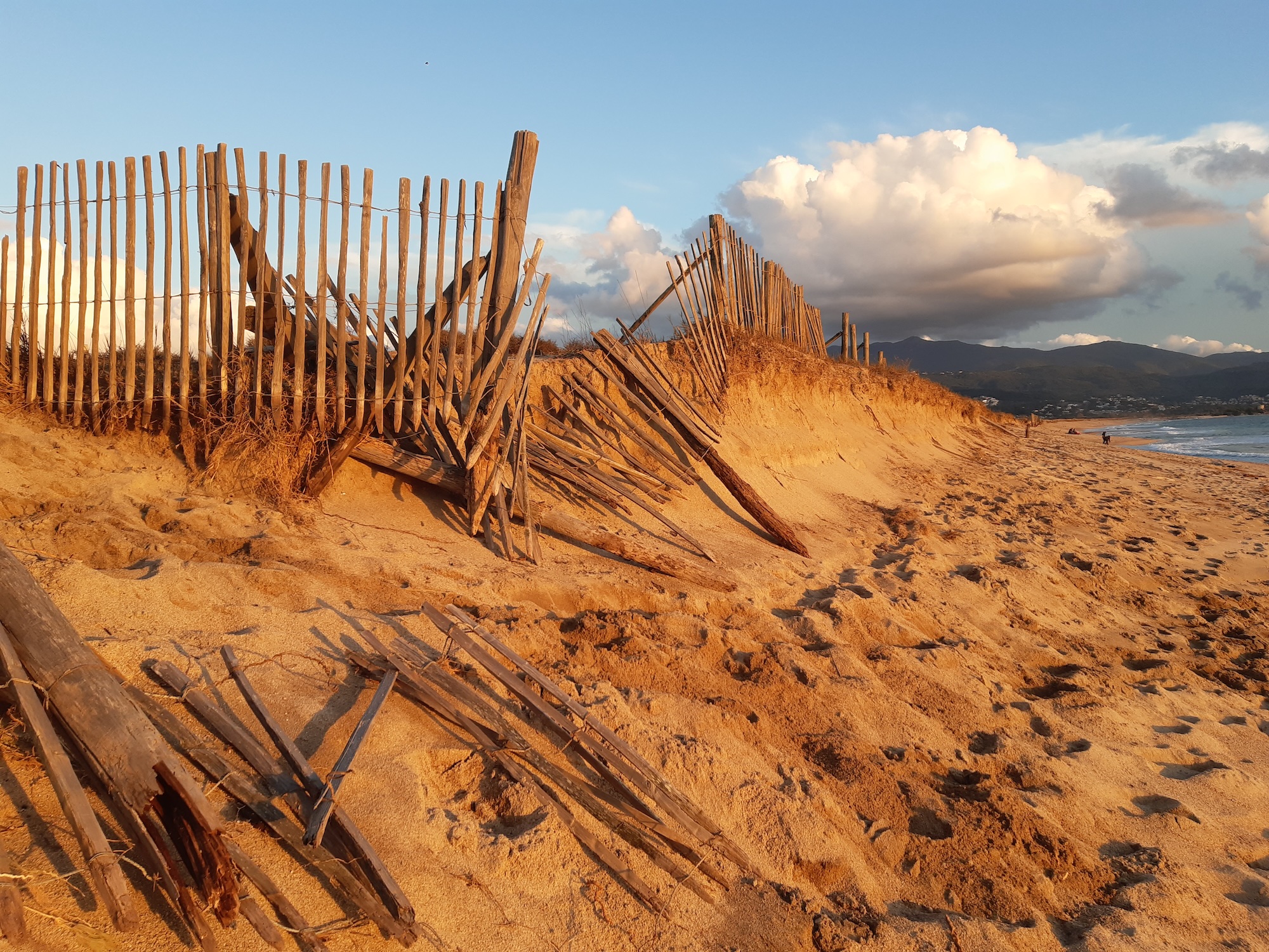 (Photos : Conservatoire du littoral - Gregory Romani)