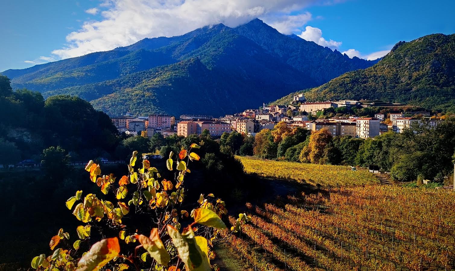 A màghjina - L’oru di vaghjime nant’à Corti