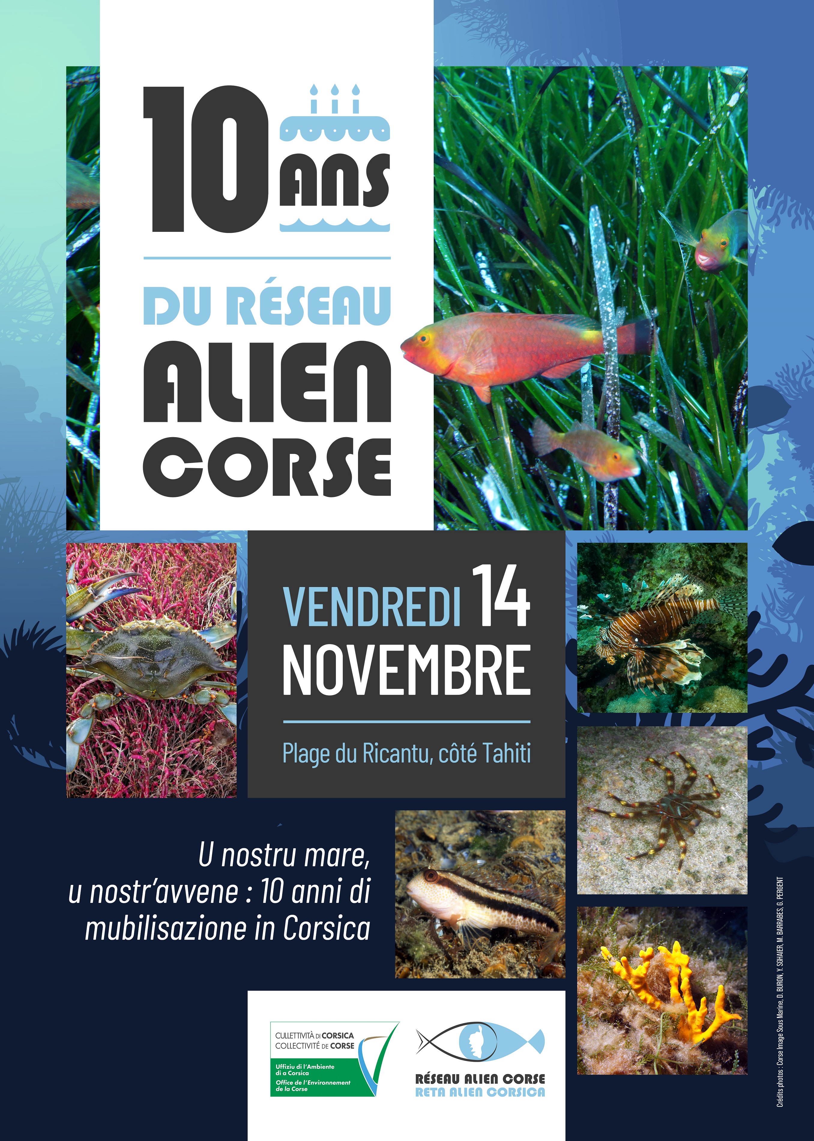 Journée d’actions pour sensibiliser le grand public aux Espèces Exotiques Envahissantes Marines ce vendredi 14 novembre à Ajaccio.